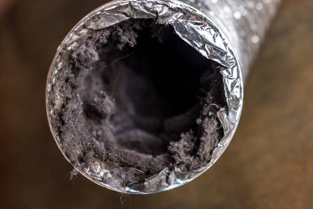 Best Residential Air Duct Cleaning  in Glespie, IL